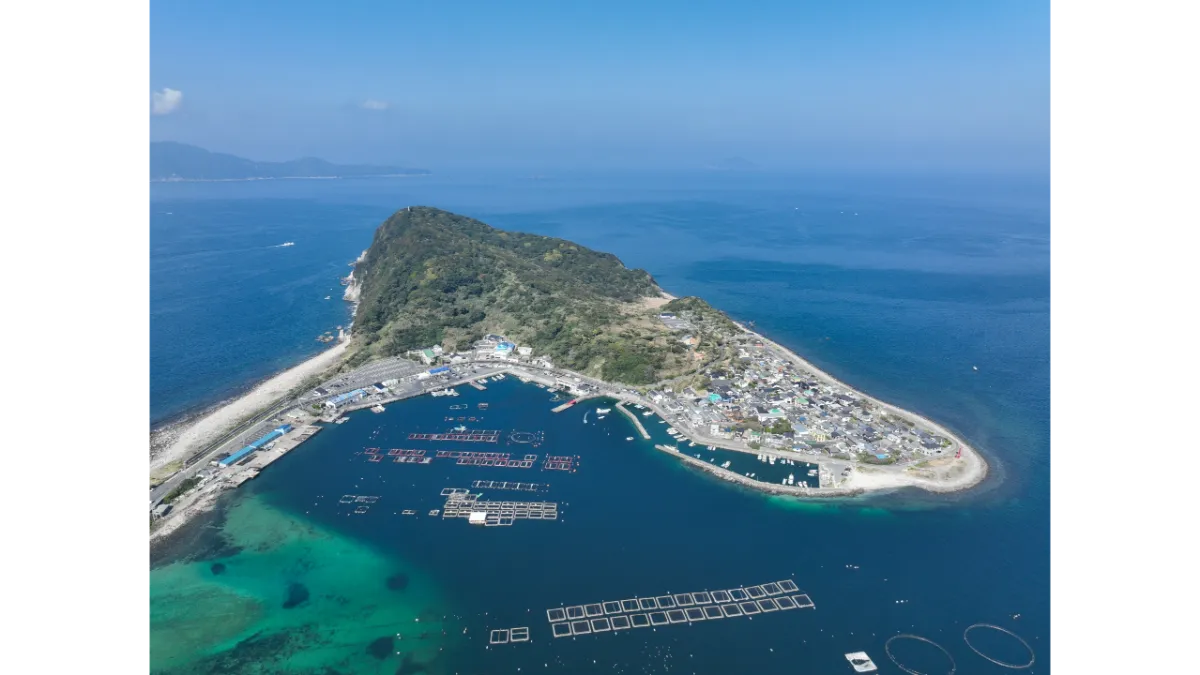 高知県は柏島のダイビング施設と観光地を紹介